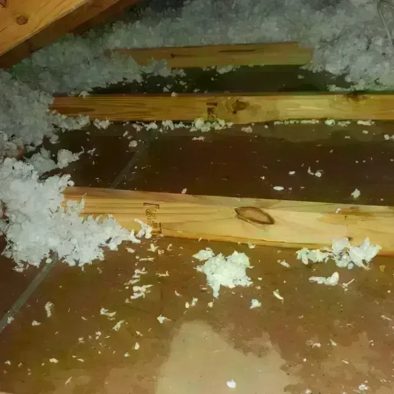 Attic Water Damage in Casas Adobes, AZ